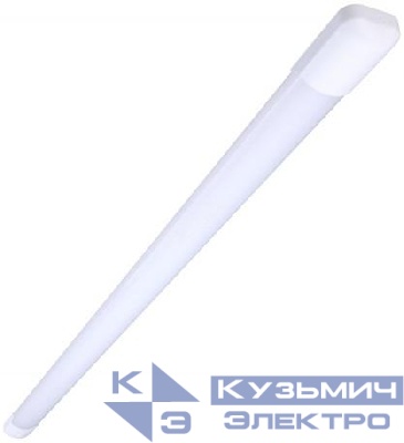 Светильник BN006C LED16 CW L600 G2 GM L1 Philips 824110166761