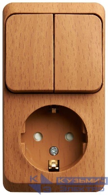 Блок ОП Этюд (1-м розетка с заземл. защ. шторки + 2-кл. выкл.) бук SE BPA16-202T