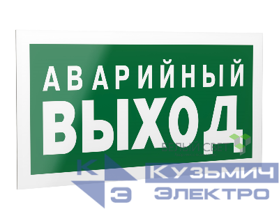 Знак безопасности PP-40205.E23 "Аварийный выход" Белый свет a13955