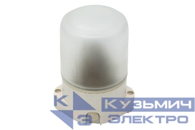 Светильник для бани НББ 01-60-001 пласт/стекло прямой IP65 E27 max 60Вт 135х105х84 бел. ЭРА Б0048030
