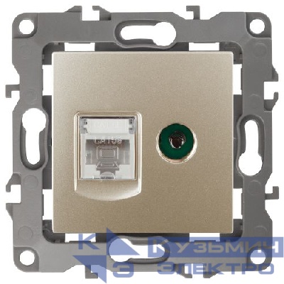 Розетка компьютерная + телевизионная Эра12 12-3110-04 RJ45 + TV IP20 шампань Эра Б0027444