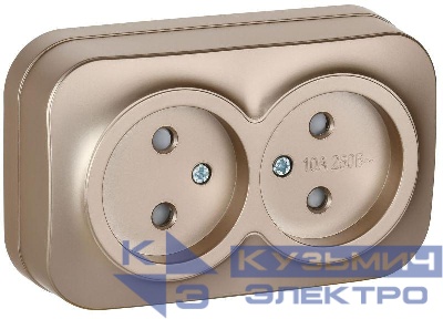 Розетка 2-м ОП GLORY РСш22-2-ХШм 10А без заземл. защ. шторки шампань матов. IEK ERH23-K37M-10