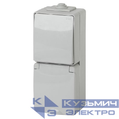 Блок розетка+выкл. ОП Эра Эксперт 11-7607-03 16А(10AX)-250В верт. IP65 сер. ЭРА Б0035998