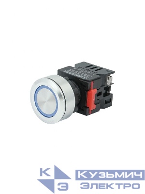 Лампа индикаторная ЛС(к)-30-С-2-24-65У1 светодиодная матрица d30мм 24В AC/DC IP65 син. Электротехник ET016994