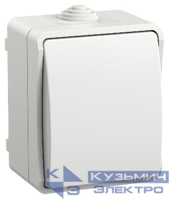 Выключатель проходной 1-кл. ОП Форс IP54 ВС20-1-0-ФБ бел. IEK EVS10-K01-10-54-DC