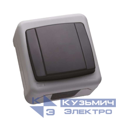 Переключатель проходной 1-кл. ОП 10А IP55 сер. Makel 36064105