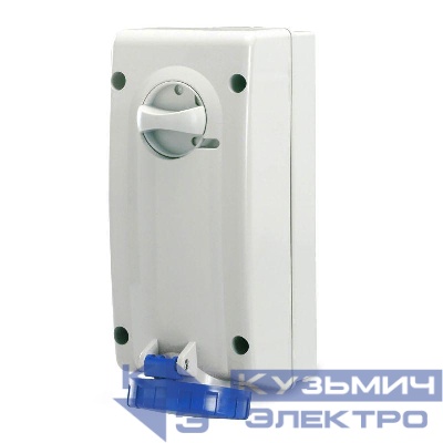 Розетка наружн. уст. 16А 230В 2P+E IP67 DKC DIS5611683