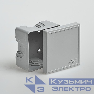 Коробка ОП Тусо распаячная 70х70х40мм свет. сер. IP44 Ruvinil 65006
