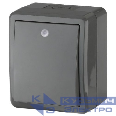 Выключатель 1-кл. ОП Эра Эксперт 10А IP54 11-1402-03 250В 10AX с подсветкой сер. Эра Б0020672