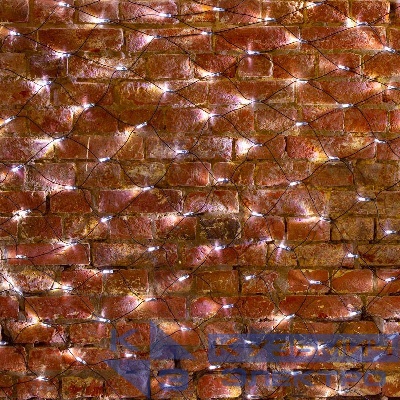 Гирлянда светодиодная "Сеть" 2.5х2.5м 432LED бел. 26Вт 220-240В IP65 провод ПВХ черн. Neon-Night 215-031