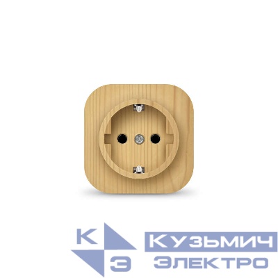 Розетка 1-м ОП 16А IP20 с заземл. сосна IONICH 1444