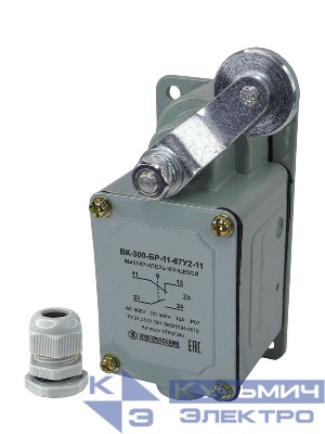 Выключатель концевой ВК-300-БР-11-67У2-11 рычаг с роликом с сальником ход вправо самовозврат ступень 1- 41мм IP67 Электротехник ET502348