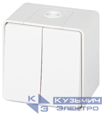 Выключатель Эксперт 11-1504-01 двойн. IP55 10АХ-250В ОУ бел. Эра Б0063257