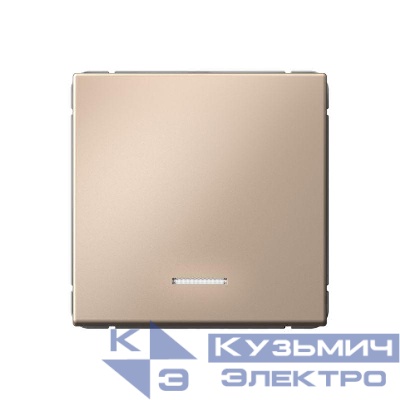 Выключатель 1-кл. ArtGallery 10AX с подсветкой быстрозажим. клем. механизм песочн. SE GAL001213S