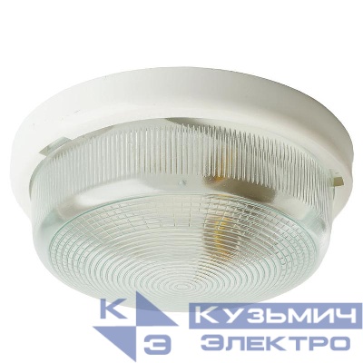 Светильник НБО 05-100-001 100Вт E27 IP44 220В накладной FERON 41403