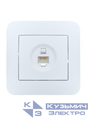 Розетка компьютерная 1-м СП ASTI IP20 RJ45 в сборе Cat 5e бел. LEZARD 7081-0202-139
