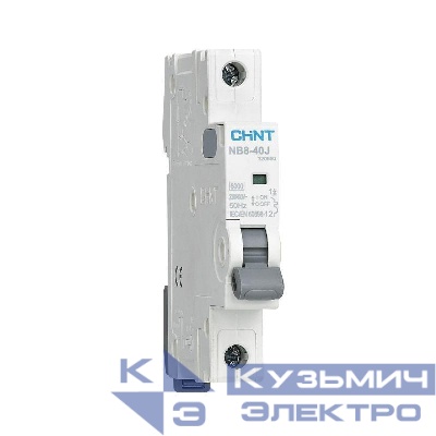 Выключатель автоматический модульный 1п C 6А 6кА NB8-40J CHINT 320654