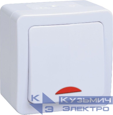 Выключатель 1-кл. ОП Гермес Plus 10А IP54 ВС20-1-1-ГПБ с индикацией цвет клавиши: бел. бел. IEK EVMP11-K01-10-54-EC