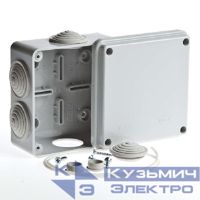 Коробка распределительная ОП 100х100х50мм 6 вводов IP55 сер. Ruvinil 67050
