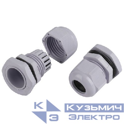 Ввод кабельный (сальник) PG 16 d10-14мм (d отверст. 21мм) IP54 (уп.15шт) Эра Б0065194