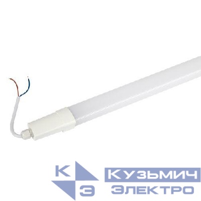 Светильник светодиодный SPP-301-36-6K-M 36Вт 6500К 3780лм IP65 1220х39х31 линейный матов. Эра Б0066942