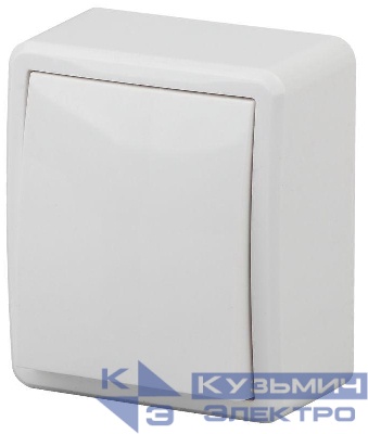 Выключатель 1-кл. ОП Эра Эксперт 10А IP20 11-1201-01 250В 10AX бел. Эра Б0020653