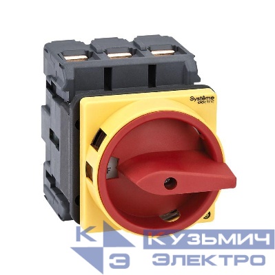 Выключатель-разъединитель 3п 80А IP20 с красн. рукоят. на дверцу 4 винтами с замком SE MSD80310R