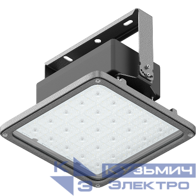 Светильник светодиодный INSEL LB/S LED 70 D120 Ex 5000К встраив. СТ 1334000440