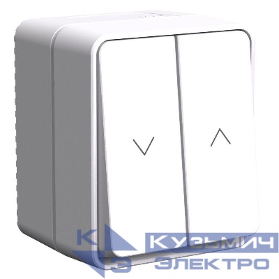 Выключатель для жалюзи 2-кл. ОП AtlasDesign PROFI 10А IP54 бел. SE ATN540119