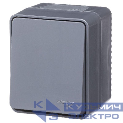 Выключатель кнопочный 1-кл. ОП AtlasDesign PROFI IP54 10АХ антрацит SE ATN544015