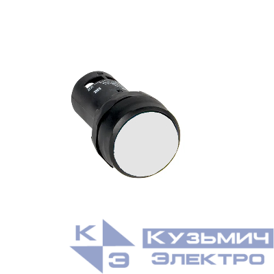 Кнопка с фиксацией OptiSignal Compact D22 С7-PH-111 бел. 1НО+1НЗ XB7NH15 КЭАЗ 362072