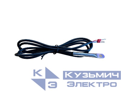 Датчик температуры на проводе 1м 10 кОм (для Meteo R; Meteo RG; Multi; Compact) Ридан 21RT0306R