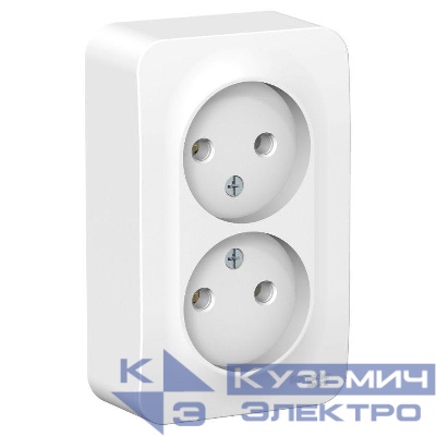 Розетка 2-м ОП Blanca 16А IP20 250В без заземл. без защ. шторок с металлич. пластиной бел. SE BLNRA000221
