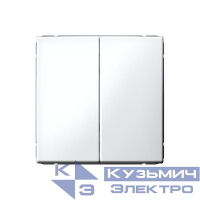 Переключатель 2-кл. ArtGallery 10AX быстрозажим. клем. механизм бел. SE GAL000165S
