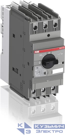 Выключатель авт. MS165-42 25кА с регулир. тепловой защитой 30А-42А класс тепл. расцепит. 10 ABB 1SAM451000R1015