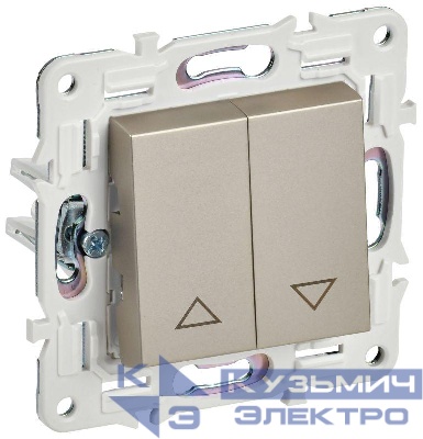 Выключатель жалюзи SKANDY 10А SK-V12Sh шампань IEK SK-V15-0-10-K37
