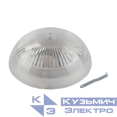 Светильник "Сириус" НБП 06-60-011 max 60Вт E27 IP54 D220 антивандальный прозр. ЭРА Б0048409