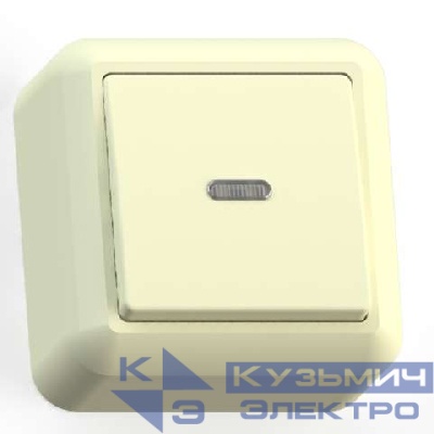 Выключатель 1-кл. ОП Оптима 10А IP20 А110-386 с индикацией с монтаж. пластиной сл. кость Кунцево 8031