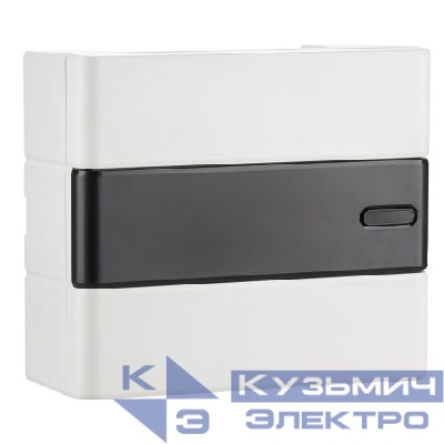 Щит распределительный навесной ЩРН-П-12 Trend BOXS-12-p-s-t IP41 ЭРА Б0052639