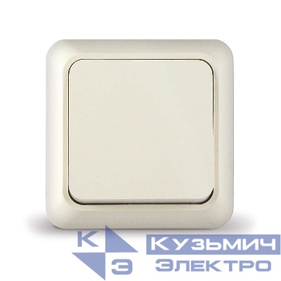 Выключатель 1-кл. ОП Олимп 10А IP20 сл. кость UNIVersal Б-О0021