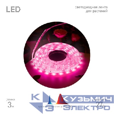 Лента светодиодная для растений FITO-Strip Light-RB-27W-3m-12V-IP65 красн.-син. спектра 3м IP65 с адаптером 12В Эра Б0064617