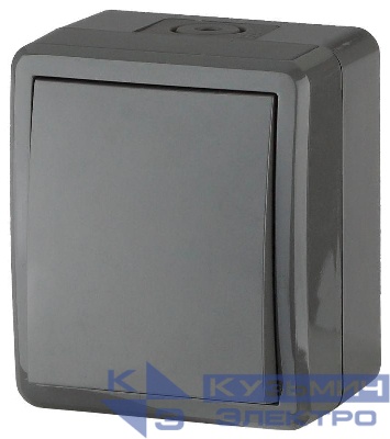 Переключатель 1-кл. ОП Эра Эксперт 10А IP54 11-1403-03 250В 10AX сер. Эра Б0020674