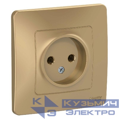 Розетка 1-м СП Blanca 16А IP20 250В без заземл. без защ. шторок титан SE BLNRS000014