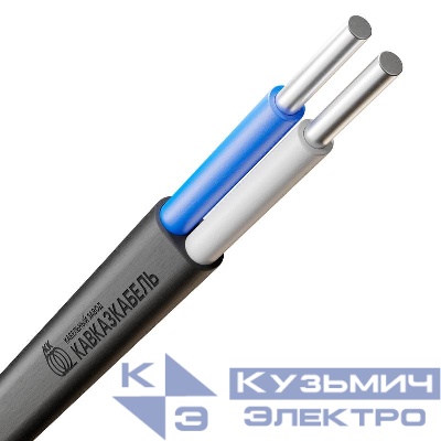 Кабель АВВГ-Пнг(А)-LS 2х6 ОК (N) 0.66кВ (м) Кавказкабель 22010300148