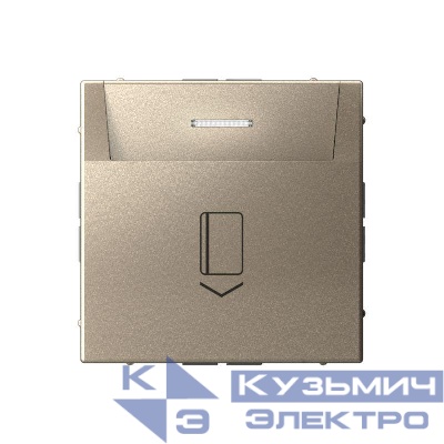 Выключатель карточный ArtGallery 10А без задержки времени быстрозажим. клем. шампань SE GAL000514S
