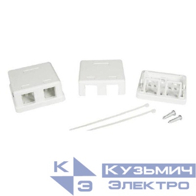 Розетка универсальная 2 порта для модулей Keystone DKC RNW2WH