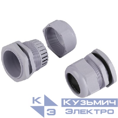 Ввод кабельный (сальник) PG 42 d32-38мм (d отверст. 53мм) IP54 (уп.5шт) Эра Б0065153