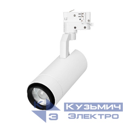 Светильник светодиодный LGD-GELIOS-TUNE-4TR-R80-20W Day4000-MIX WH 20-60 deg IP20 металл Arlight 039157