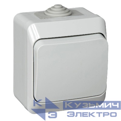Выключатель 1-кл. ОП Этюд 10А IP44 10AX сер. SE BA10-041C