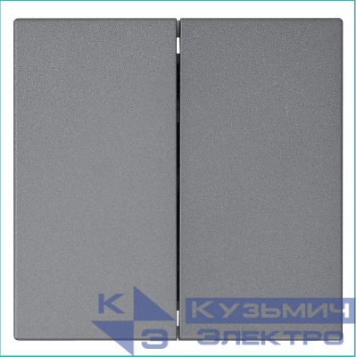 Выключатель 2-кл. СП FD 10А IP20 с накладкой механизм никель Jasmart FD3023NI